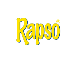 www.rapso.at